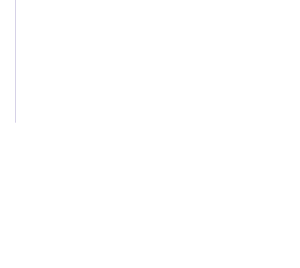 CSS